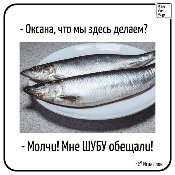 иваси скумбриясельдь