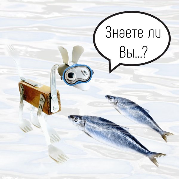 рыба салака