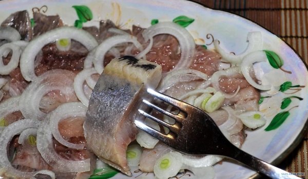 селедочка с луком