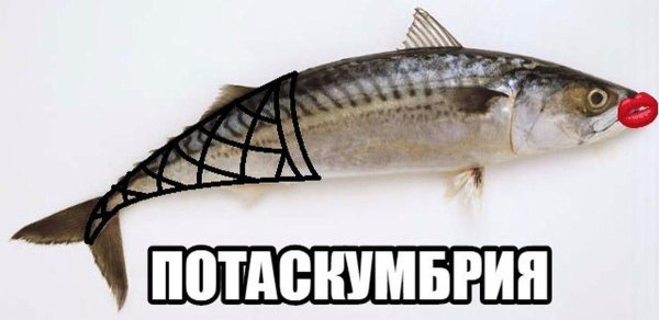потаскумбрия мем