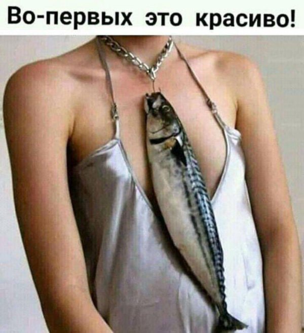скумбрии виды