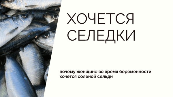 иваси скумбриясельдь