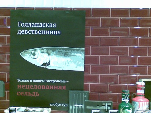 прикольная селёдка