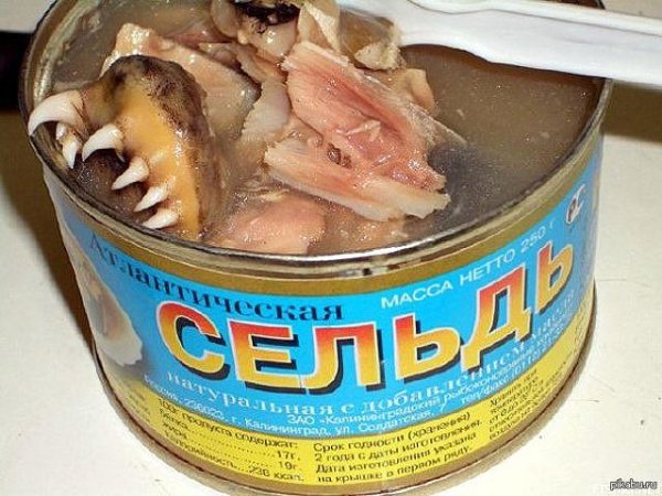рыбная консерва