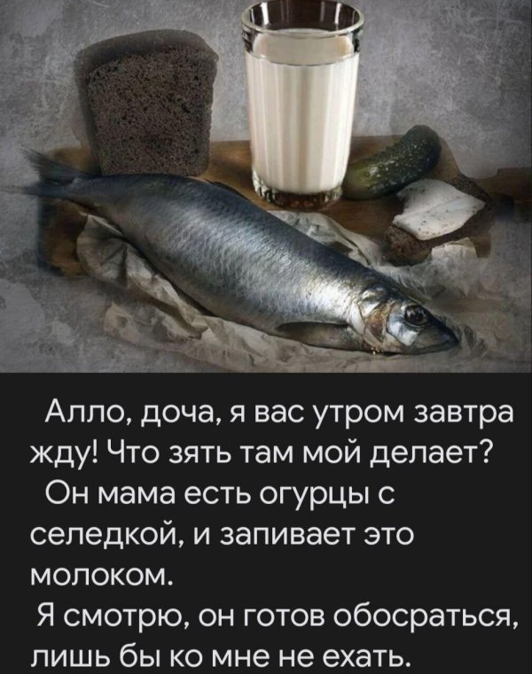 две селедки