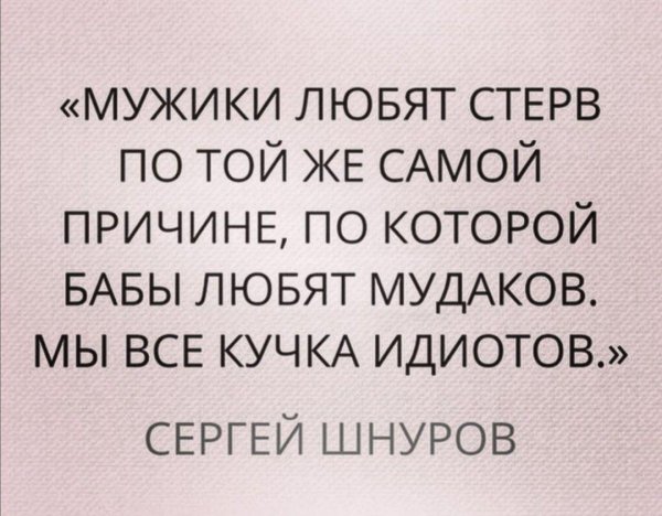 все мы кучка идиотов