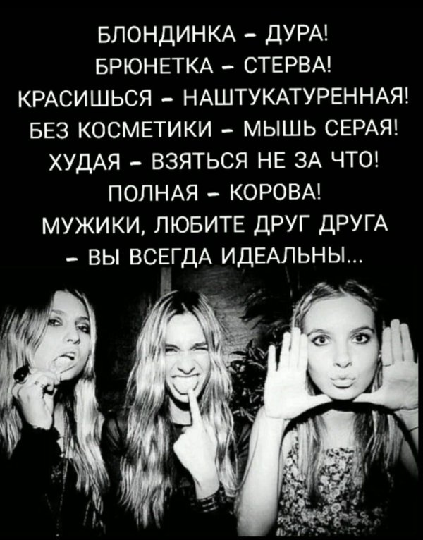 блондинка и брюнетка цитаты