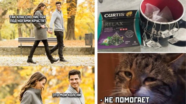 прикольные для поднятия настроения