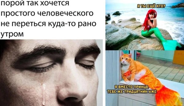 русалка смешная