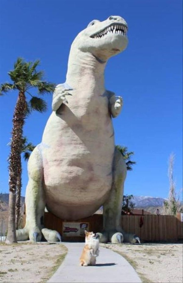 cabazon dinosaurs