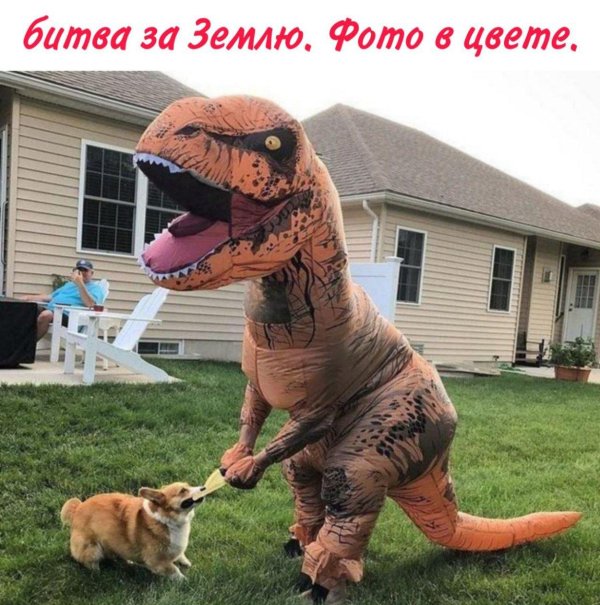 костюм динозавра тирекс