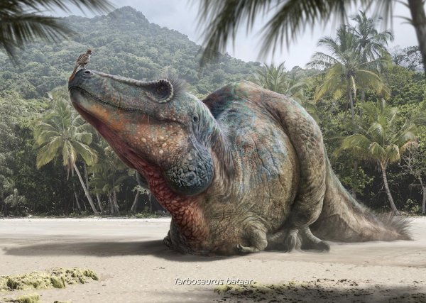 тираннозавр палеоарт