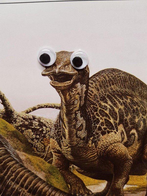 глаза динозавра