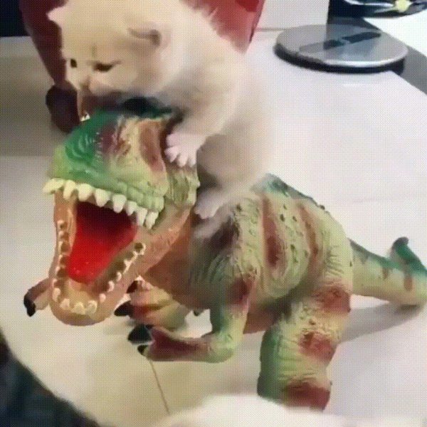 кот динозавр
