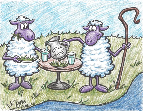 прикольный барашек