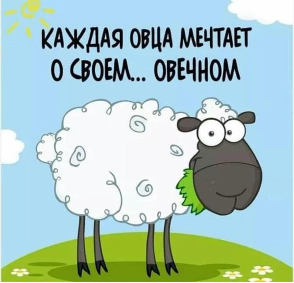 веселый барашек