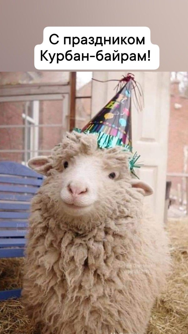 праздник курбан байрам