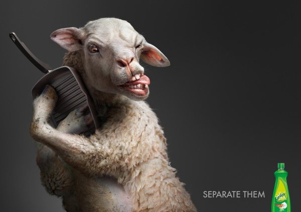 креативная реклама