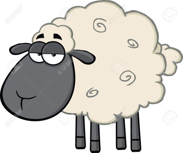 sheep cartoon