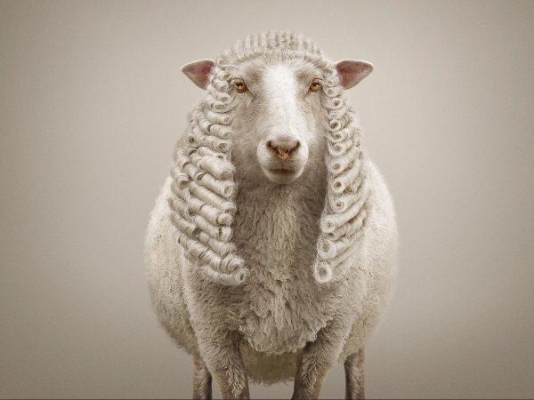 овечка долли