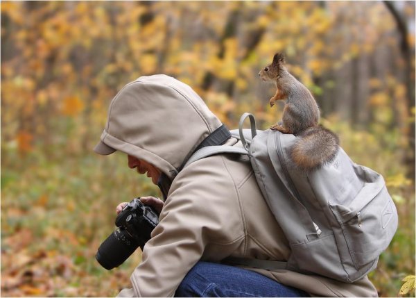 работы фотографов