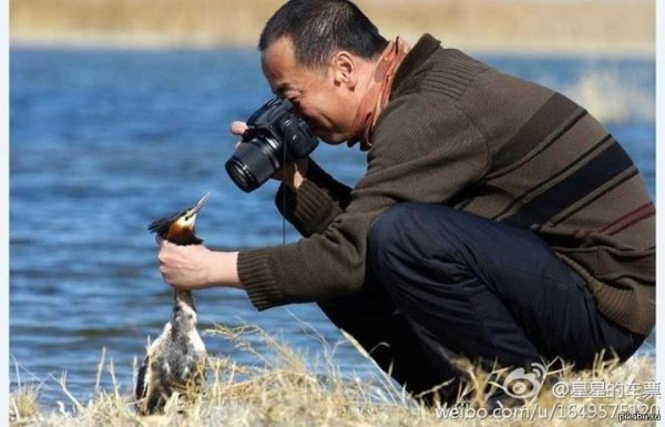 зеркальный фотоаппарат nikon