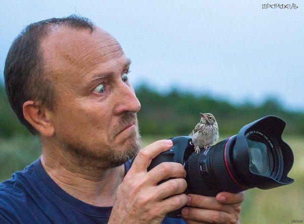 приколы про фотографов
