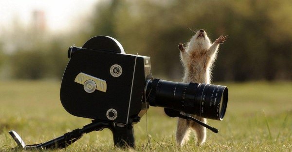 смешной фотограф