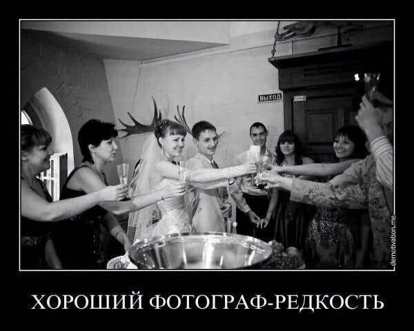 свадебные фотографы