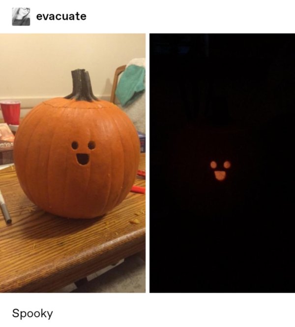 тыква смешная