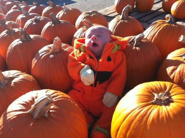 фотосессия с тыквами детская