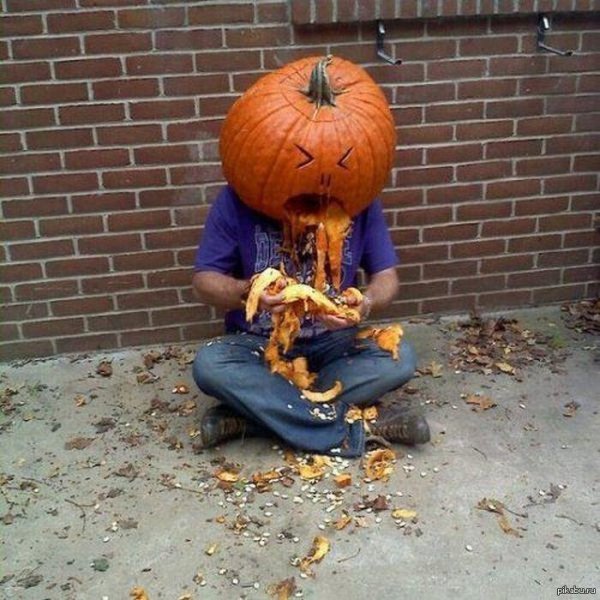 тыква смешная