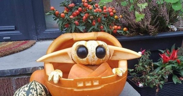 веселая тыква