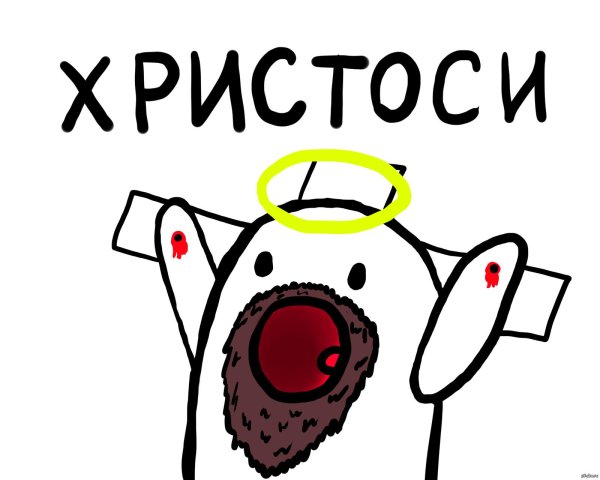 ничоси качоси