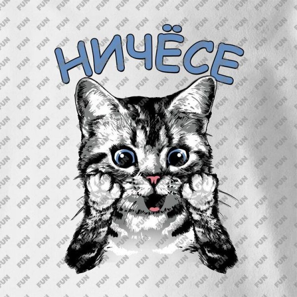 удивленные коты