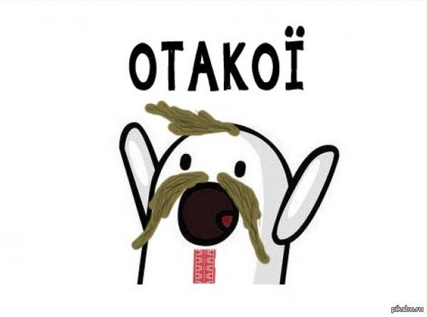 приведение ничоси