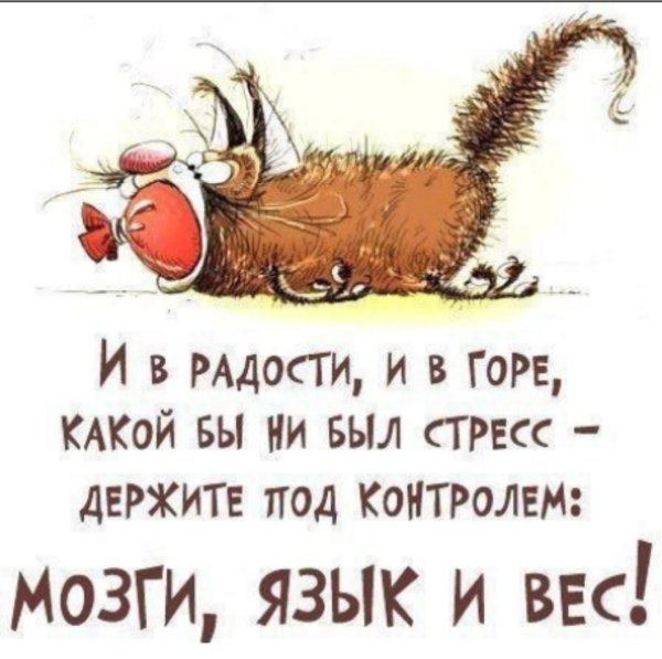 веселые высказывания