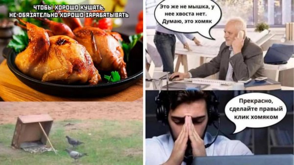 курица гриль