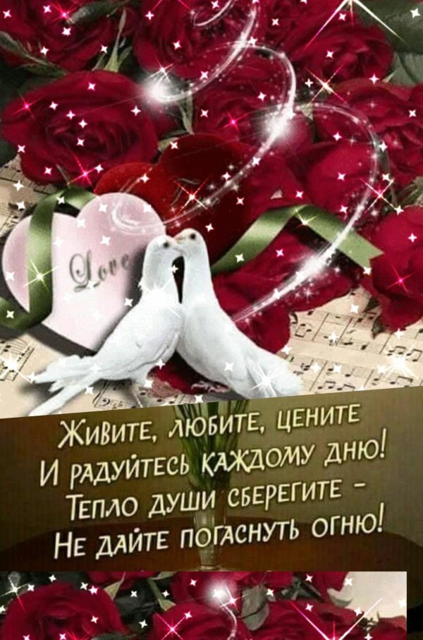 тепло души
