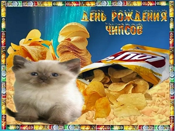 день чипсов