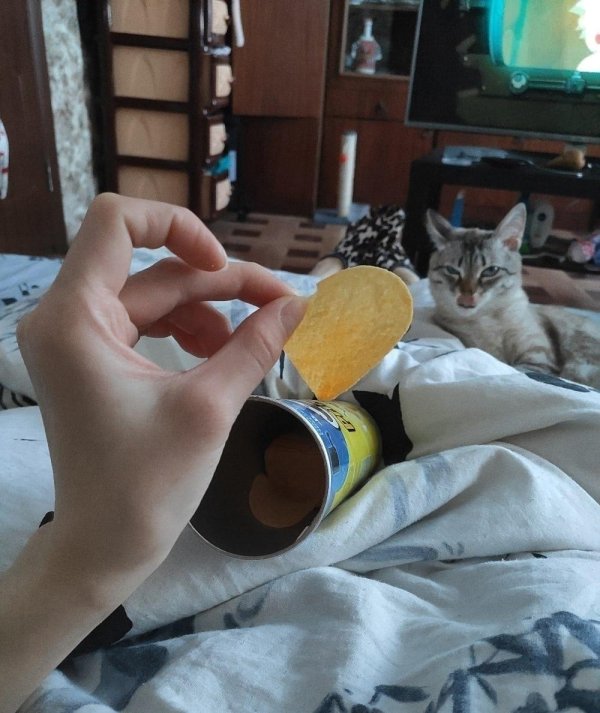 pringles чипсы