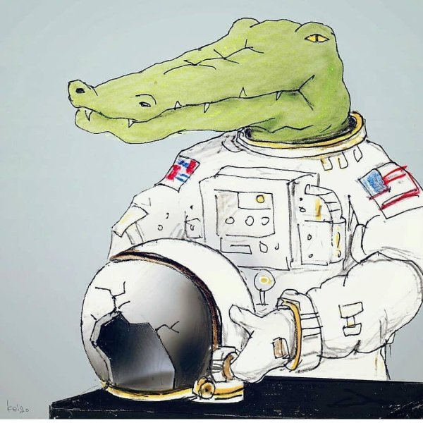 крокодил арт