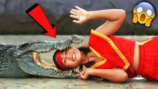 крокодиловая ферма тайланд