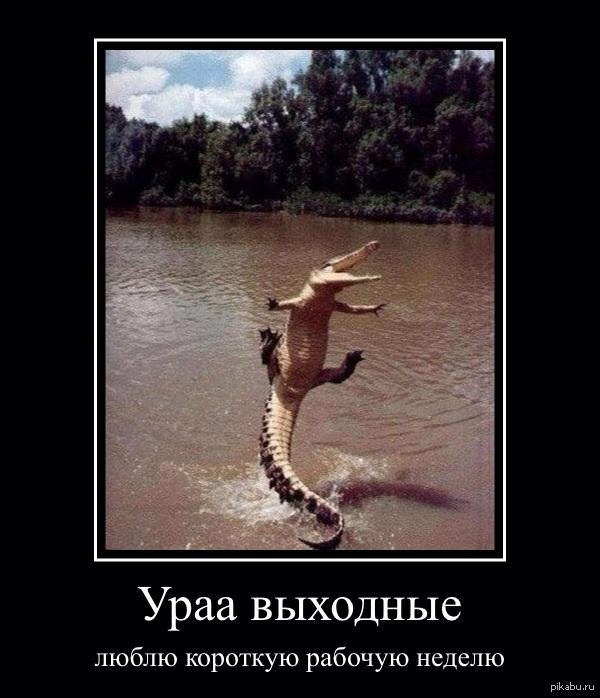 гребнистые крокодилы