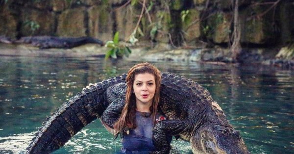 девушка крокодил