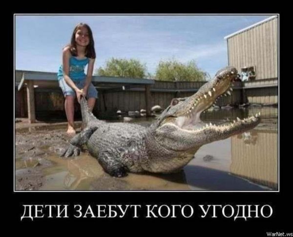 милые крокодилы