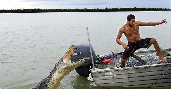 ржачные приколы