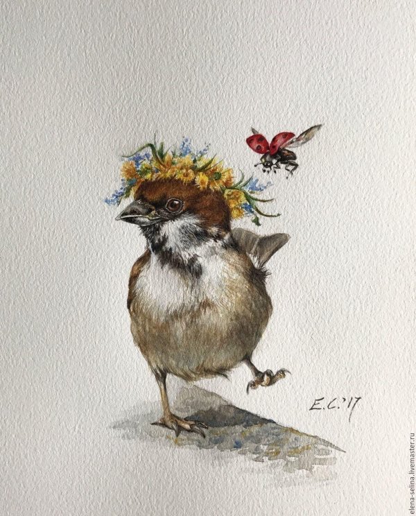 акварельные птички открытка