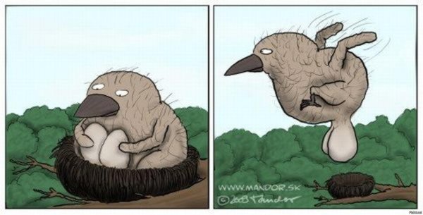 птичка с яйцами прикол