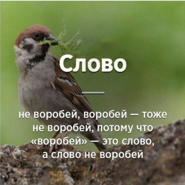 слово не воробей